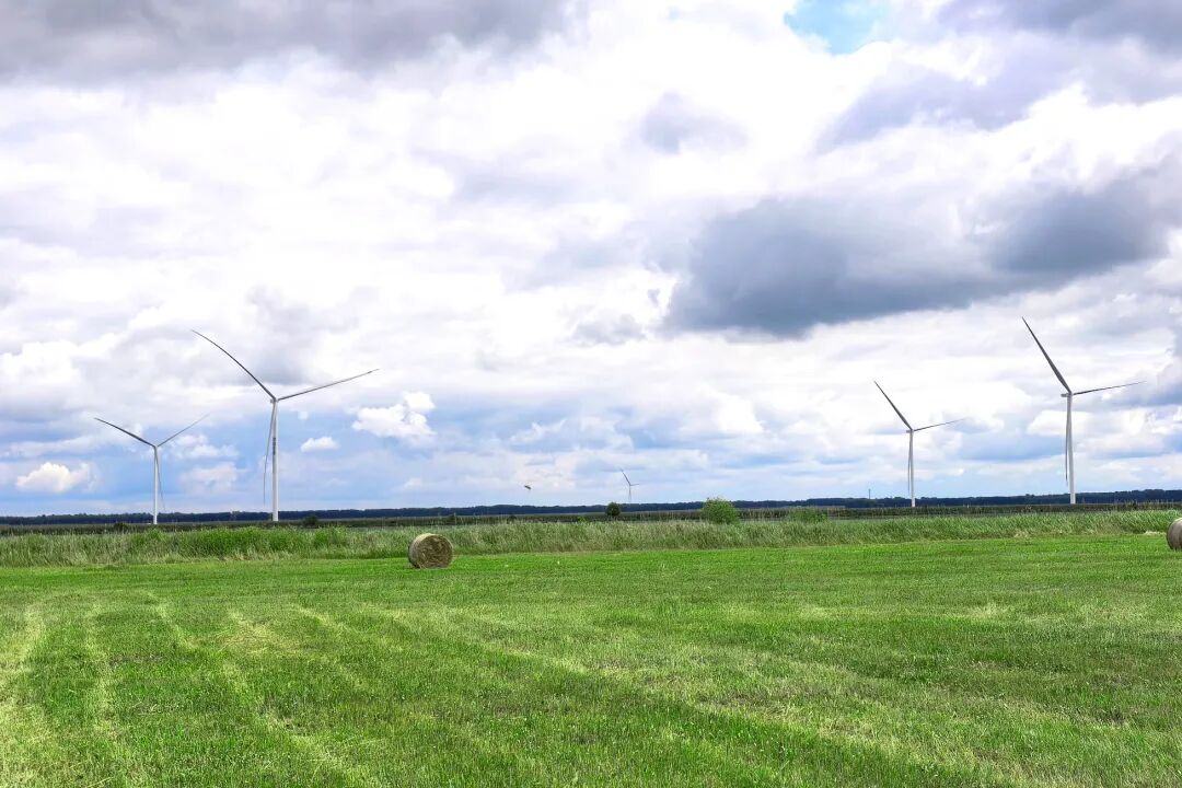 99台！全球最大绿色氢氨醇一体化项目风机吊装完成